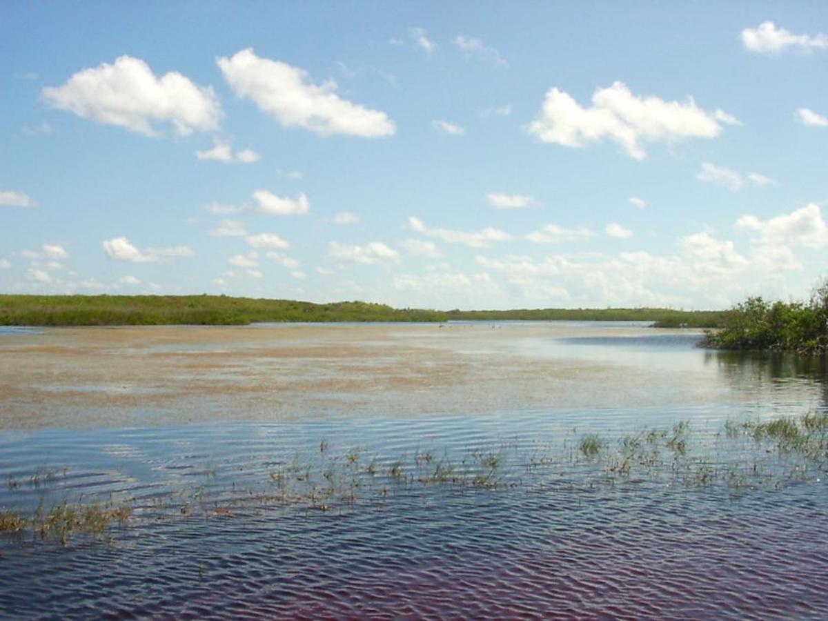 Buttonwood Reserve 1B James Cistern Εξωτερικό φωτογραφία